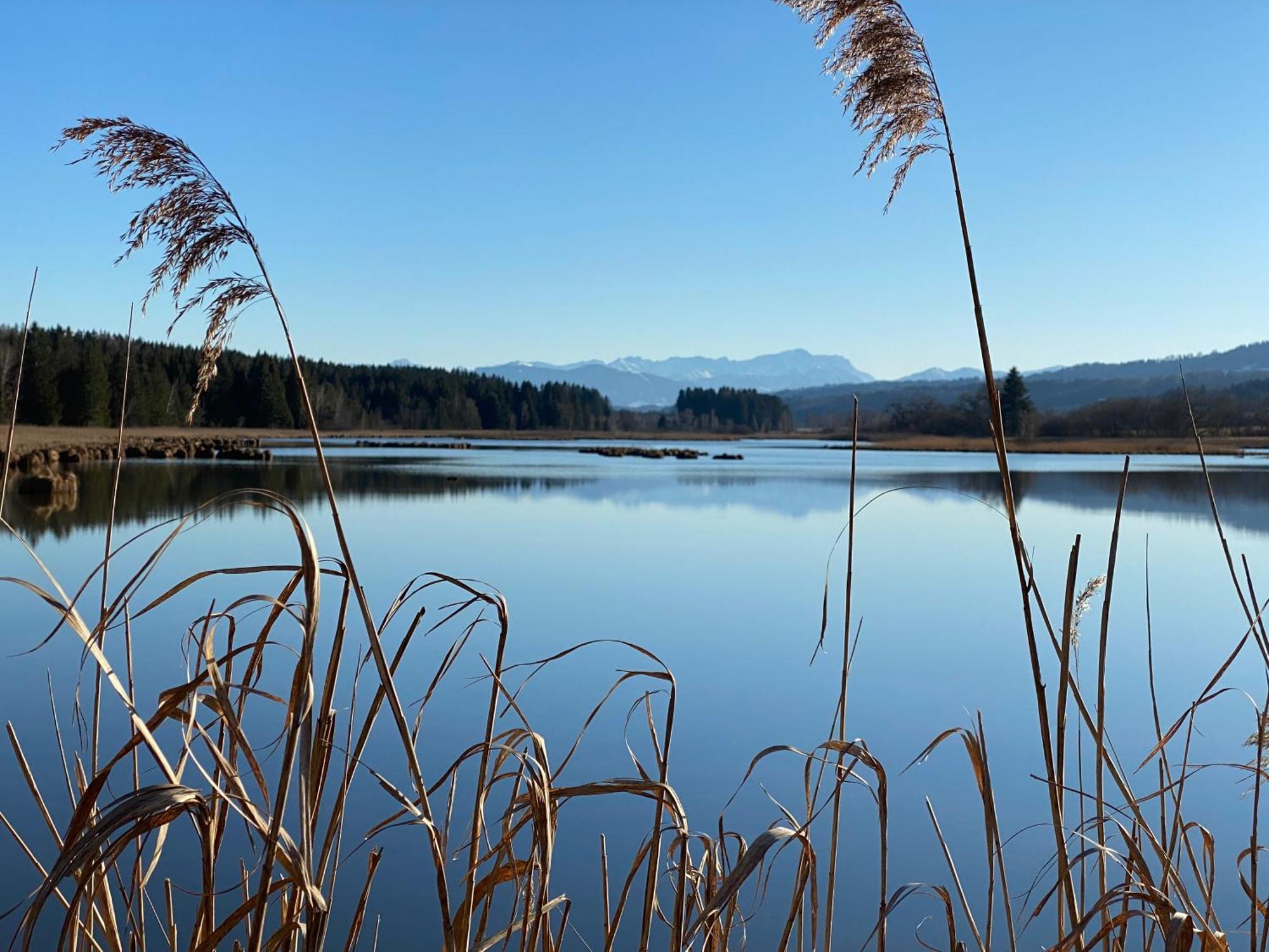 Ferienwohnung Auszeit Im Pfaffenwinkel - Wessobrunn ภายนอก รูปภาพ