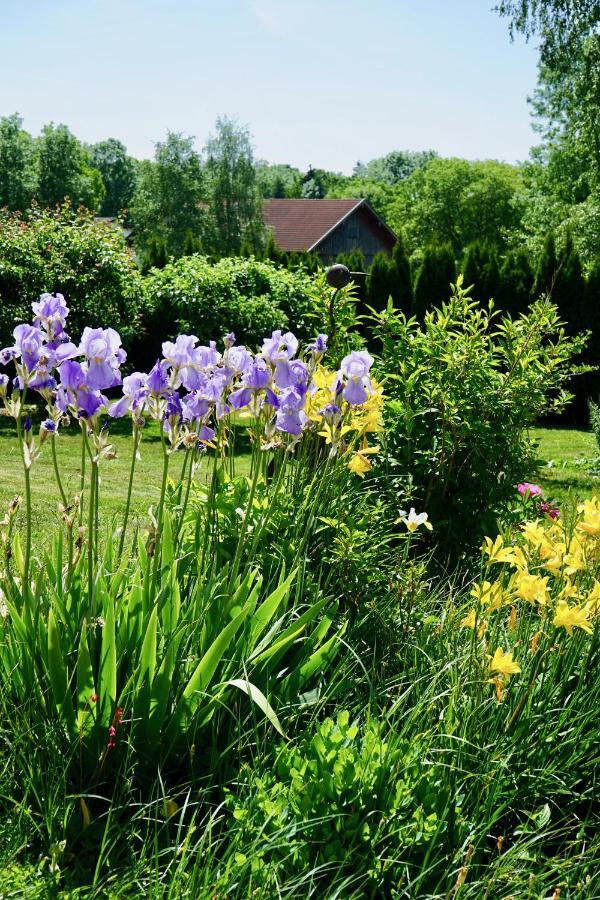 Ferienwohnung Auszeit Im Pfaffenwinkel - Wessobrunn ภายนอก รูปภาพ